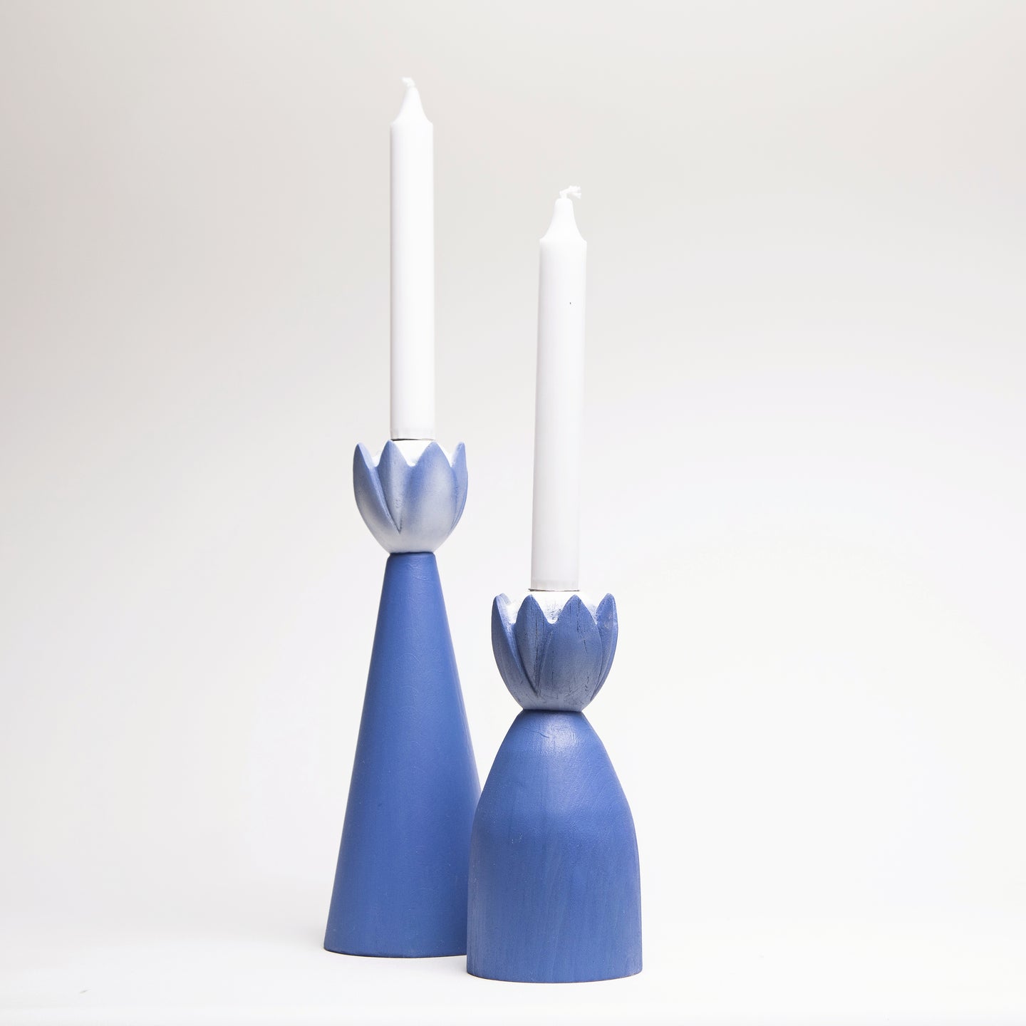 Tulipan, blå